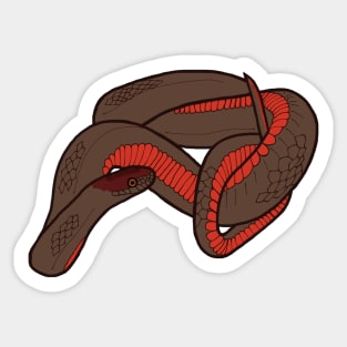 Red Bellied Snake Design Sticker